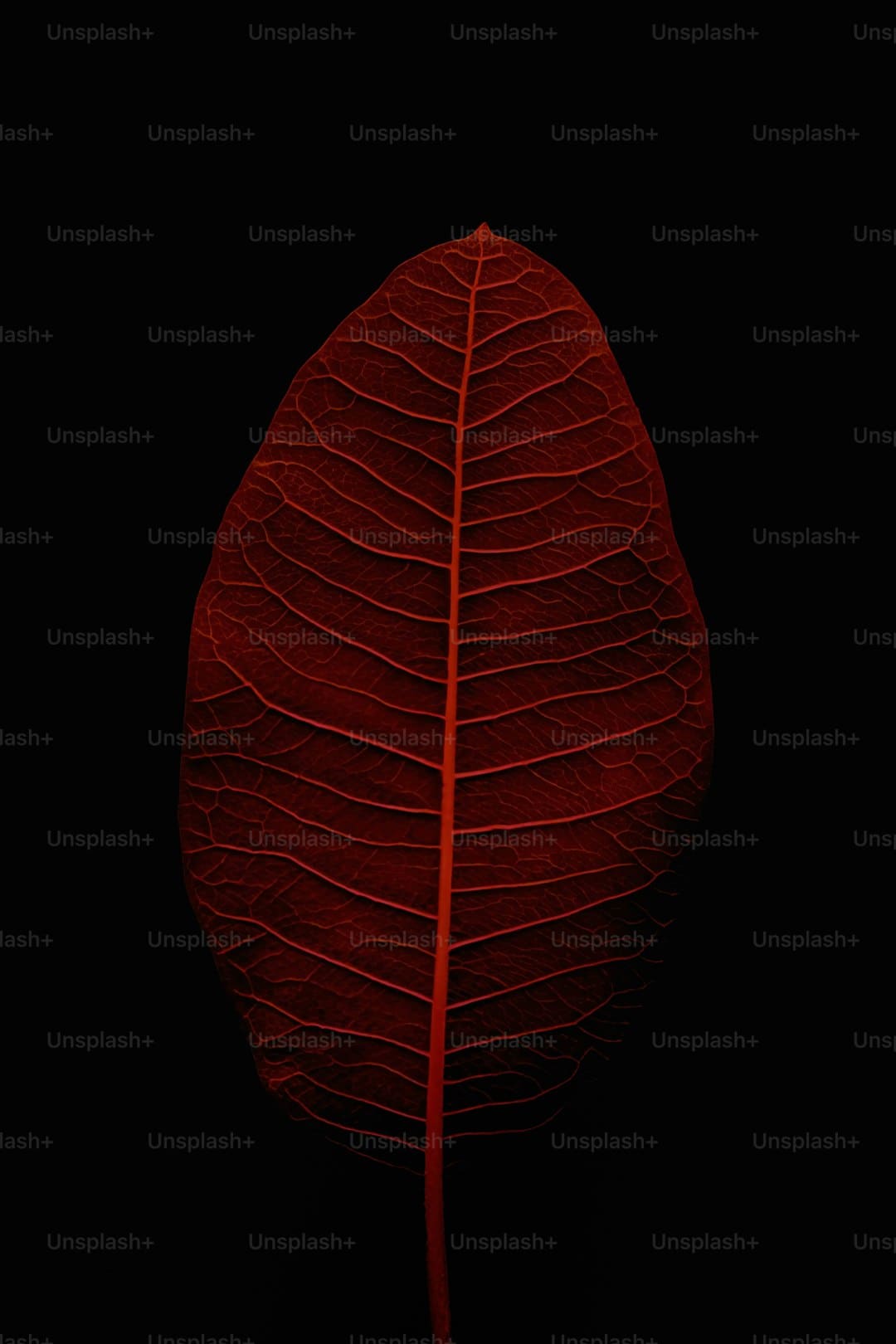 http://n.sinaimg.cn/news/transform/w600h400/20180311/1aVq-fxpwyhw8938961.jpg?zdy